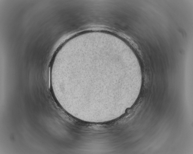 X0000111441175200908241137