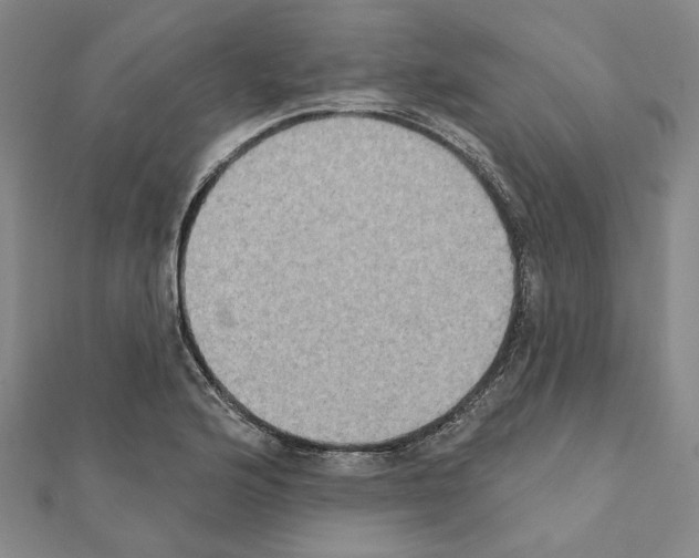 X0000111441176200908241137