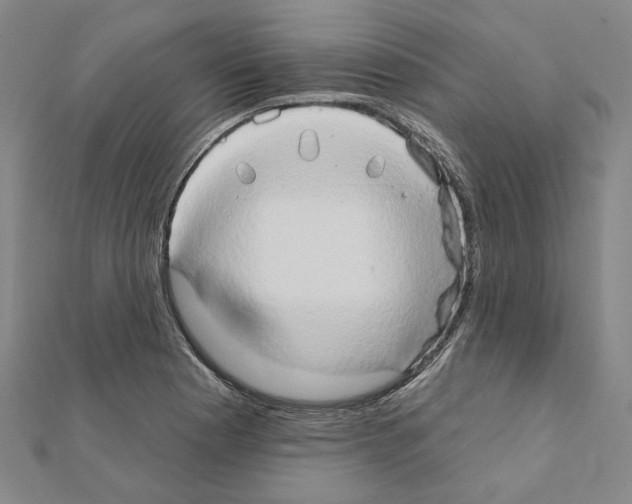 X0000111441177200908241137