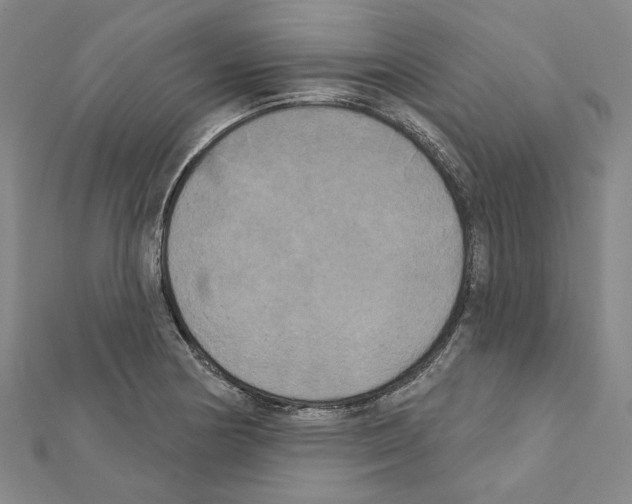 X0000111441178200908241137