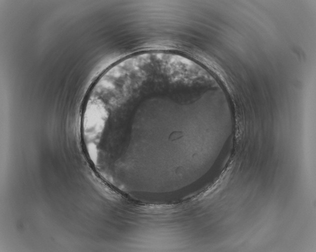 X0000111441179200908241137