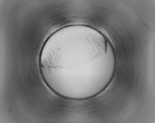 X0000111441181200908241137