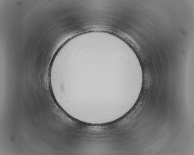 X0000111441182200908241137