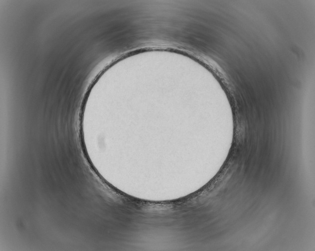 X0000111441183200908241137