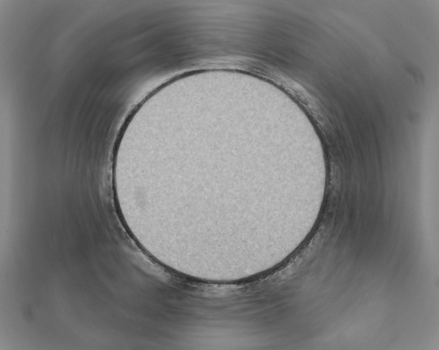 X0000111441184200908241137
