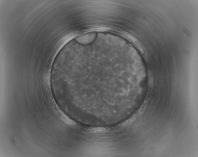X0000111441186200908241137