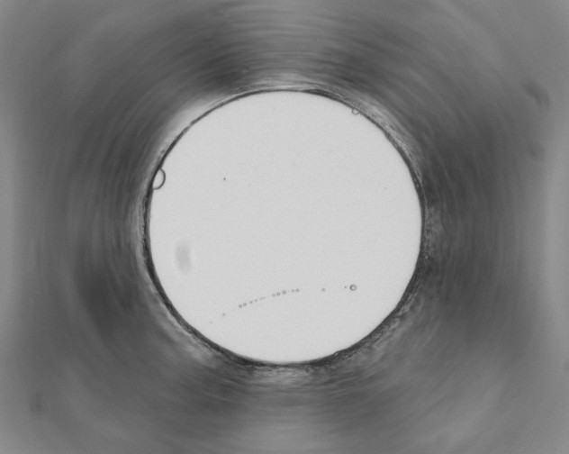 X0000111441187200908241137