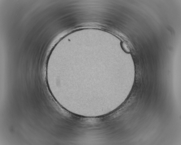 X0000111441188200908241137