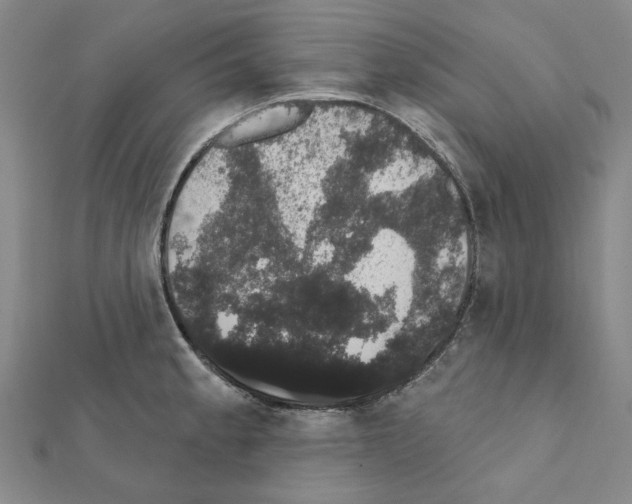 X0000111441189200908241137