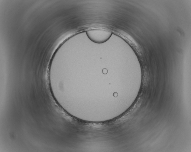 X0000111441190200908241137