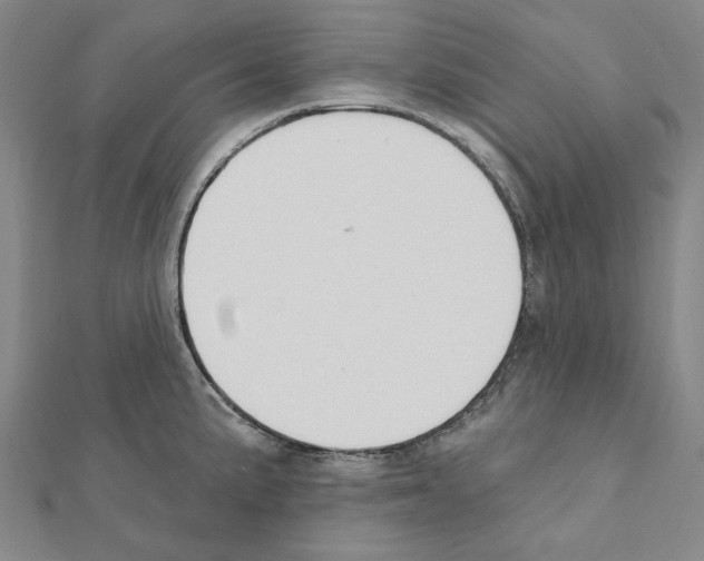 X0000111441191200908241137