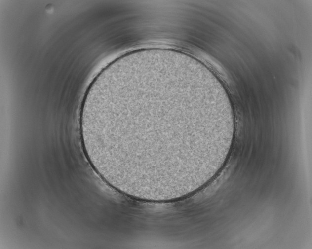 X0000111441192200908241137