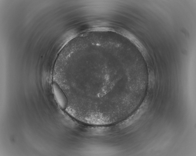 X0000111441193200908241137