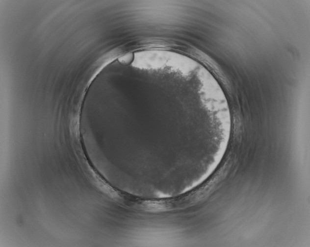 X0000111441194200908241137
