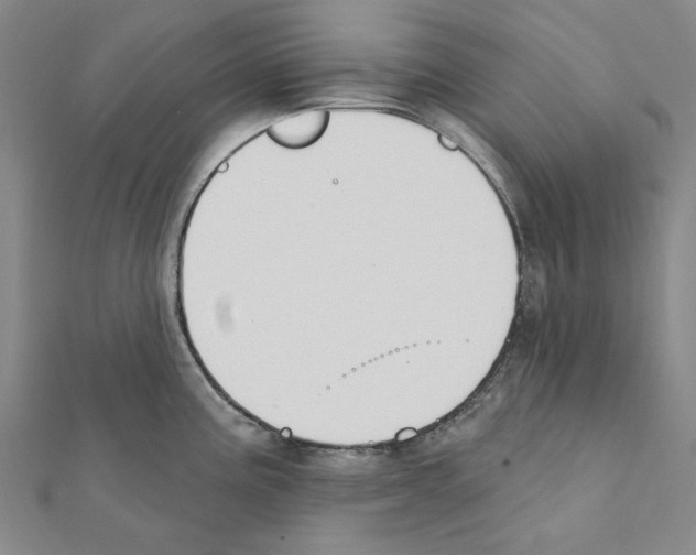 X0000111441195200908241137