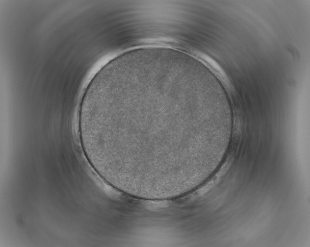 X0000111441196200908241137