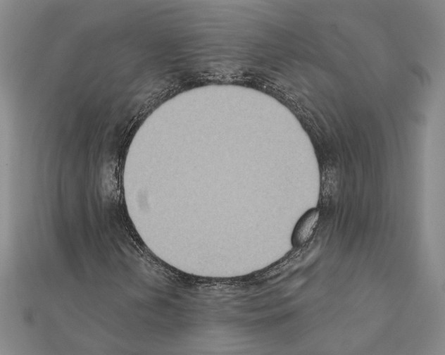 X0000111441202200908241136