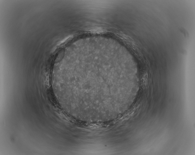 X0000111441205200908241136