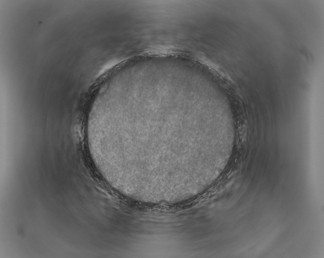 X0000111441206200908241136