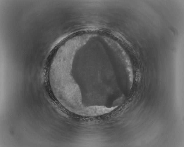 X0000111441208200908241136