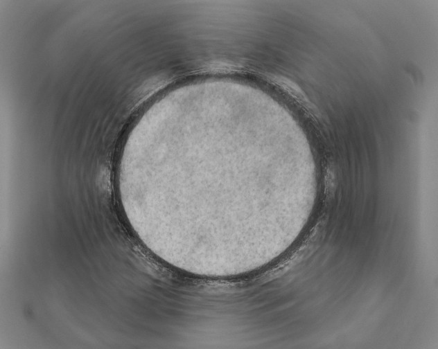 X0000111441209200908241136