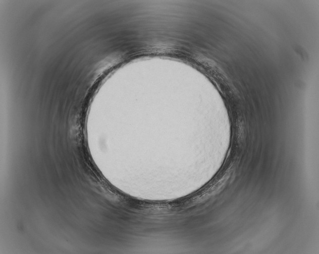X0000111441210200908241136