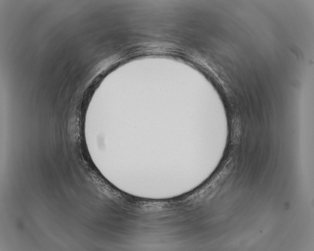 X0000111441211200908241136
