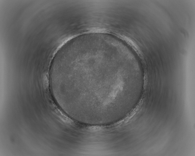 X0000111441212200908241136