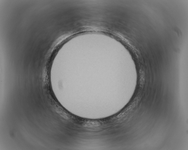 X0000111441215200908241136