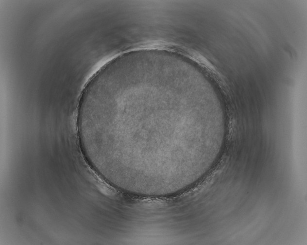 X0000111441216200908241136