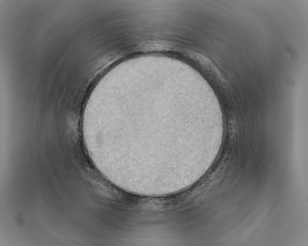 X0000111441217200908241136