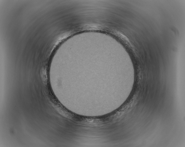 X0000111441218200908241136