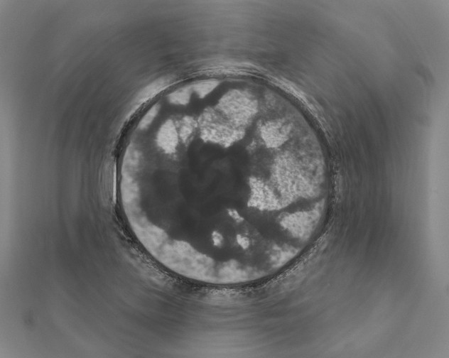 X0000111441219200908241136