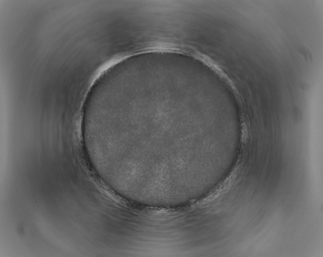 X0000111441222200908241136