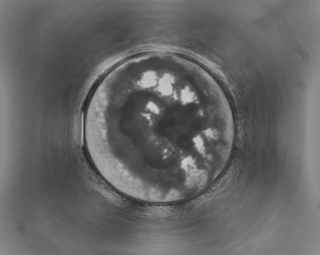 X0000111441223200908241136