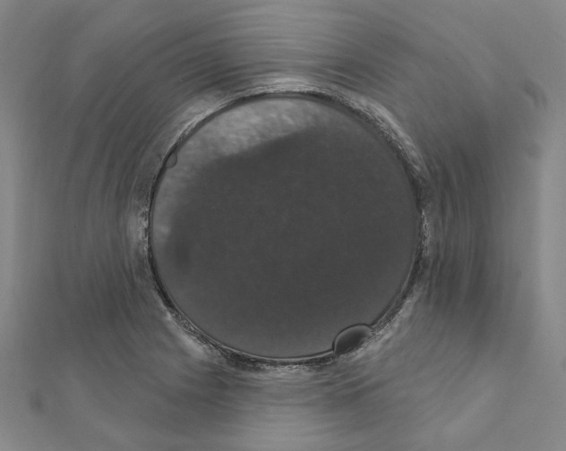 X0000111441225200908241137