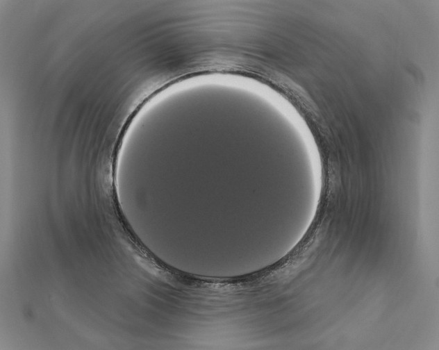 X0000111441226200908241137