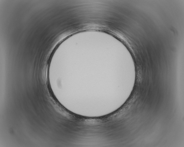 X0000111441227200908241137