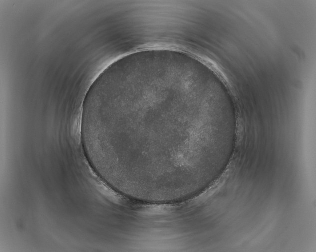 X0000111441228200908241137