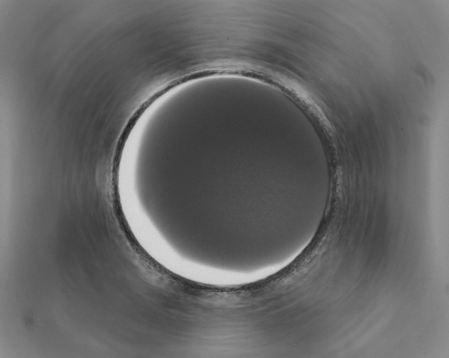 X0000111441229200908241137