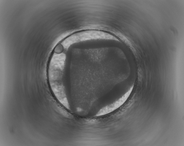 X0000111441230200908241137