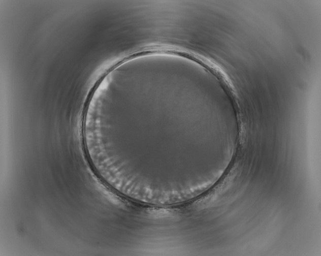 X0000111441231200908241137