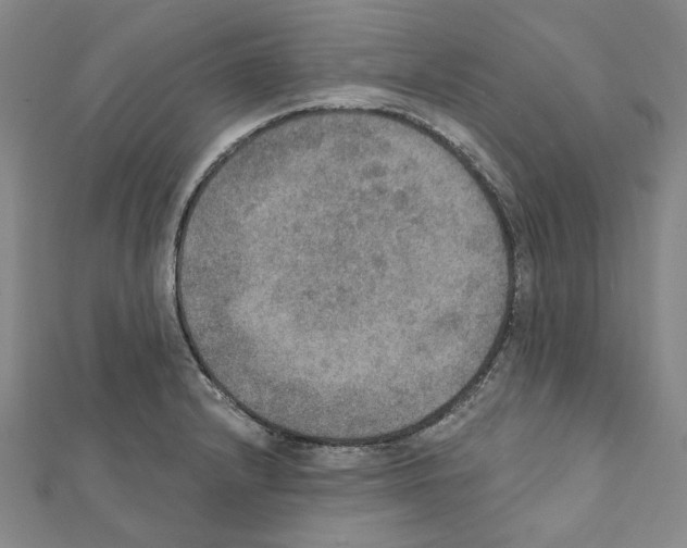 X0000111441232200908241137