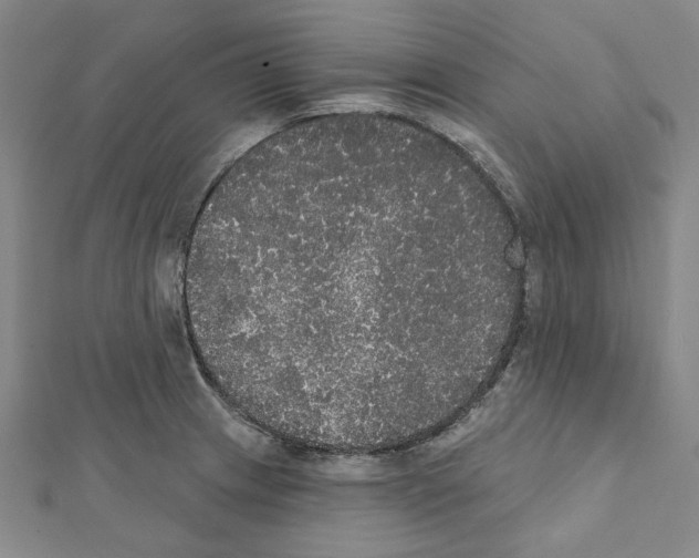 X0000111441233200908241137