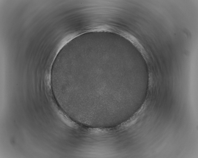 X0000111441234200908241137