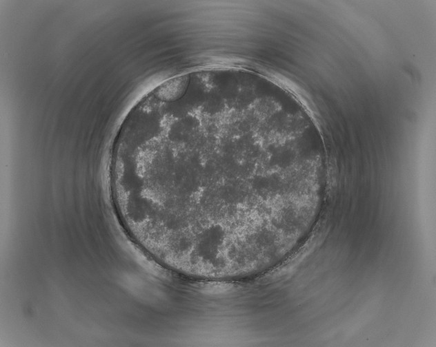 X0000111441235200908241137