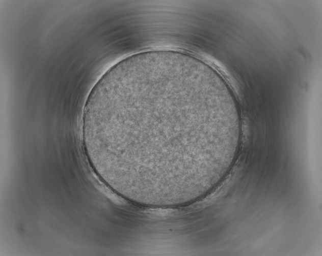 X0000111441236200908241137