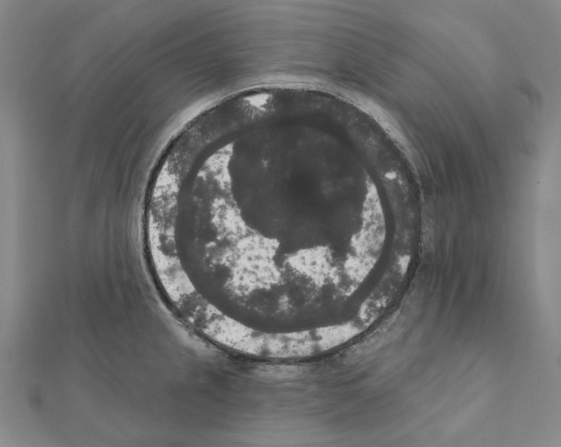 X0000111441237200908241137