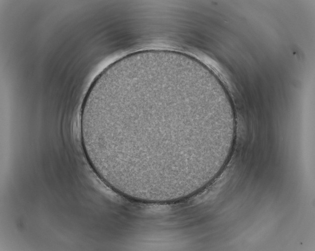 X0000111441238200908241137