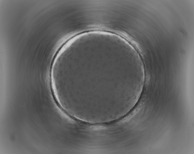 X0000111441239200908241137